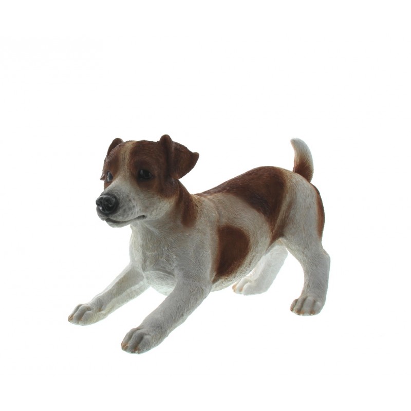 kubiek Dertig Nauwkeurigheid Hond jack russel bruin/wit