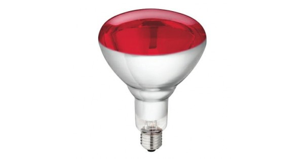 Terugroepen Archaïsch Flitsend Warmtelamp rood (150 Watt)